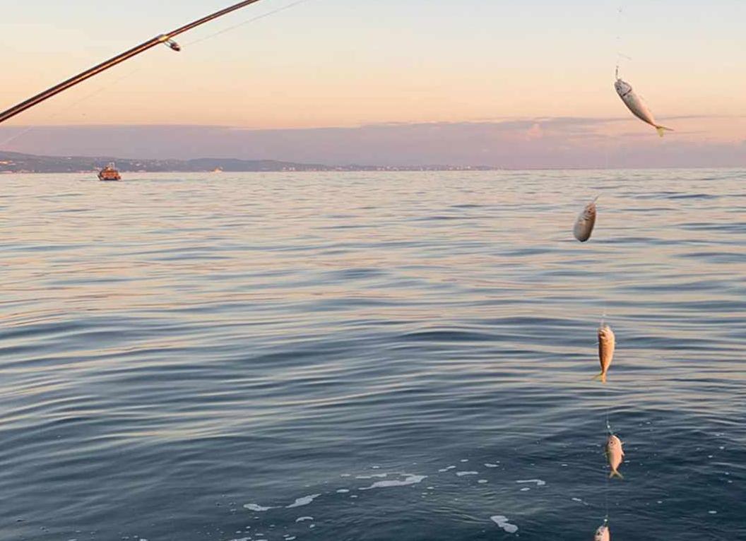 Особенности морской рыбалки в Сочи