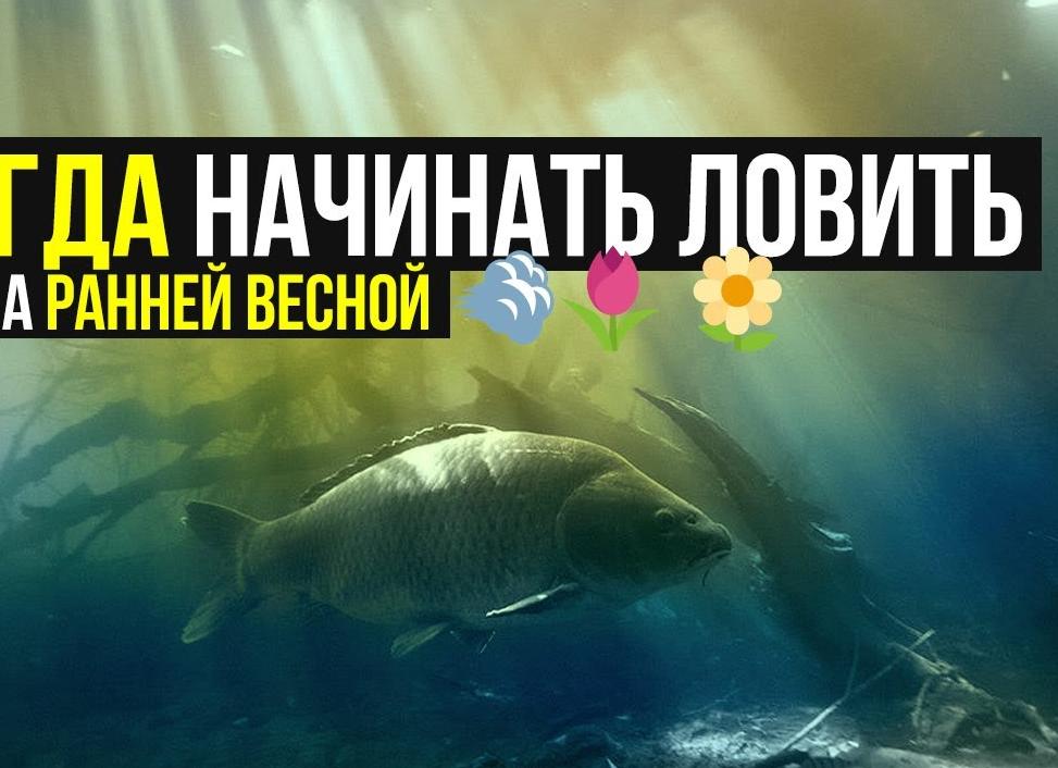 Рыбалка на карпа ранней весной