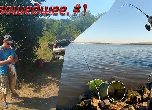 Рыбалка на толстолобика по сезонам