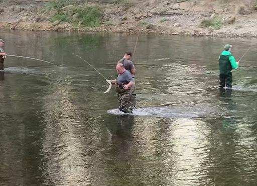 Рыбалка на ерша в сезон открытой воды