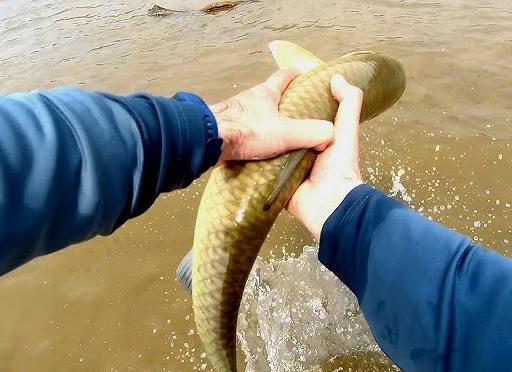 Рыбалка на Амуре по сезонам