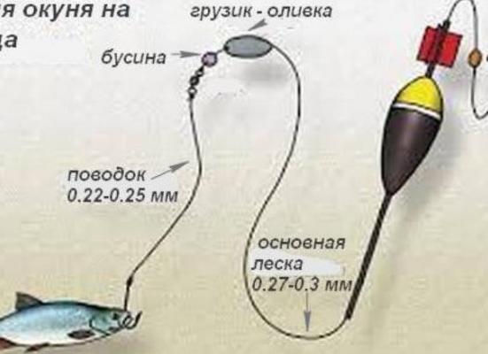 Ловля краснопёрки на поплавочную удочку летом