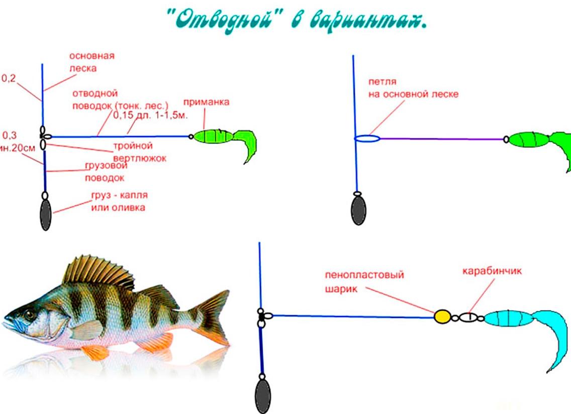 Особенности ловли окуня на отводной поводок