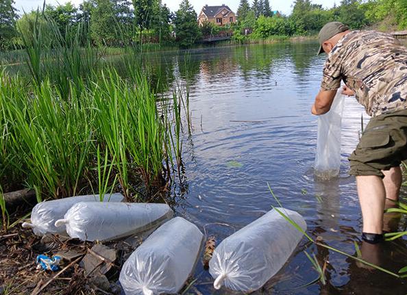 Где порыбачить в Тамбовской области