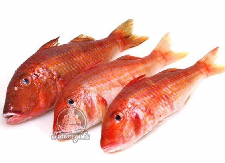 Чудо рыбка барабулька