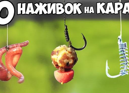 Лучшие приманки для ловли карася летом