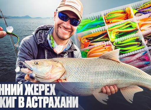 Охота на жереха под водой