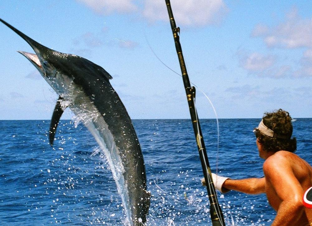 Рыбалка на Мальте