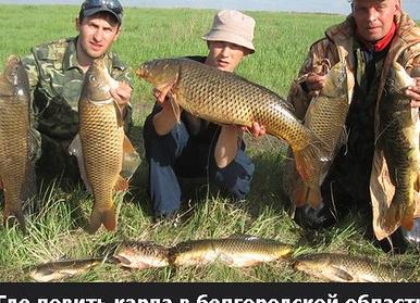 Где порыбачить в Белгородской области