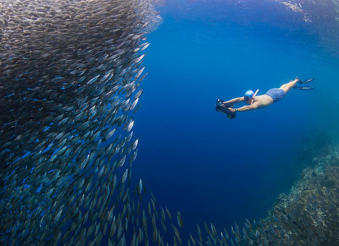 Лучшие места в мире для подводной охоты