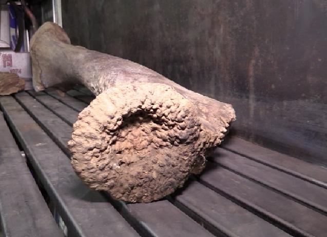 Рыбалка на берегах Сосьвы