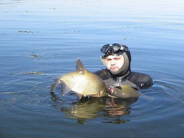 Подводная охота на леща