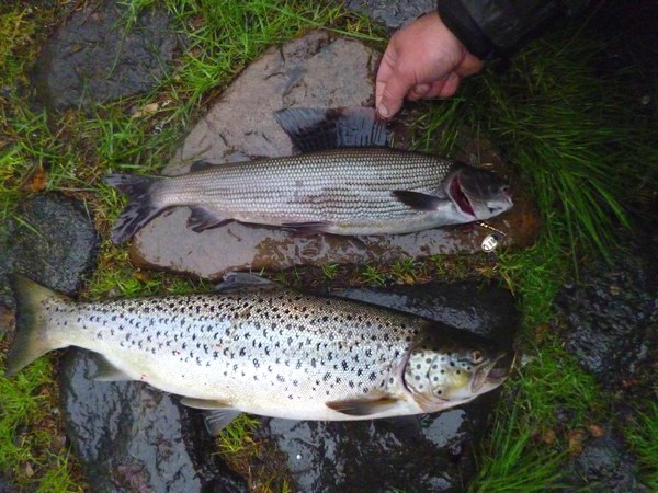 Рыбалка в тундре на озёрах Кольского полуострова