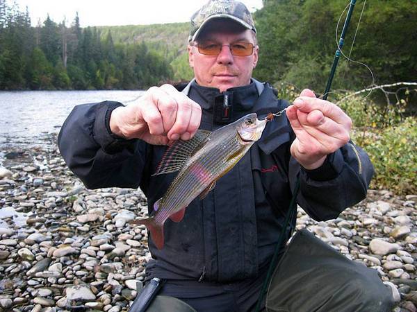 Рыбалка на хариуса в реке Берёзовой