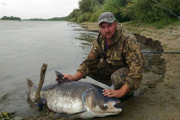 Рыбалка в  реках Пермского края