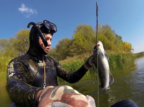 Подводная охота в республике Беларусь