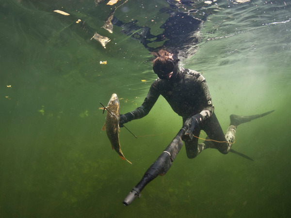Перспективные места для подводной охоты в Нижегородской области