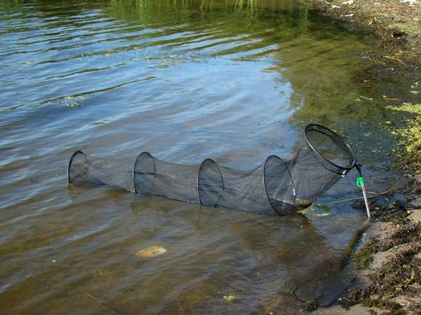 Садок для рыбалки, разновидности, какой выбрать